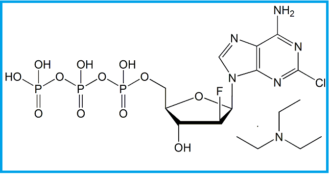 CLOFARABINE TRIPHOSPHATE TRIETHYLAMINE SALT